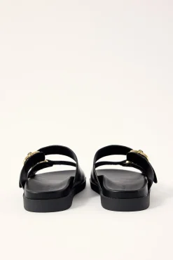 Adley Black