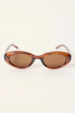 Arbella Bark Turtle/Brown Lens