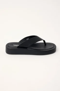 Bouncer II Black