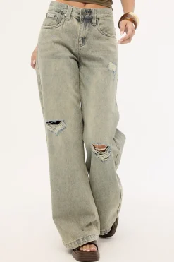 DIY Wendy Low Rise Wide Leg Jean Dirty Dawg