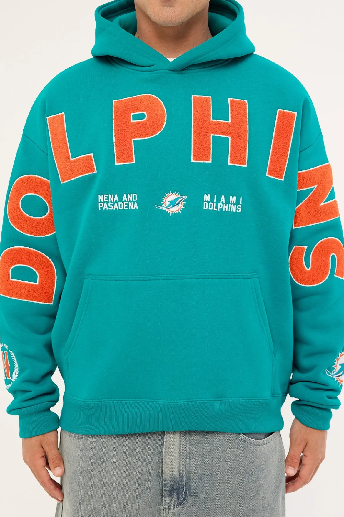 Dolphins Arch Hoodie Aqua
