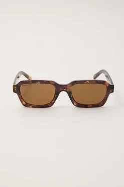 Fitzrovia Turtle