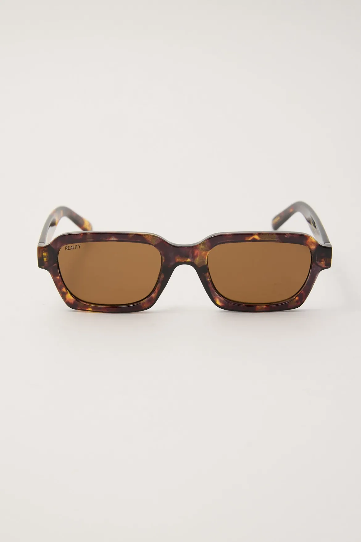 Fitzrovia Turtle