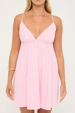 Posed Rose Mini Dress Pink Stripe