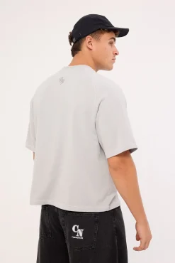 Scripted Heavyweight Cropped Tee Ice Grey