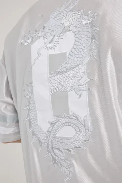 Spirit V Neck Jersey Silver