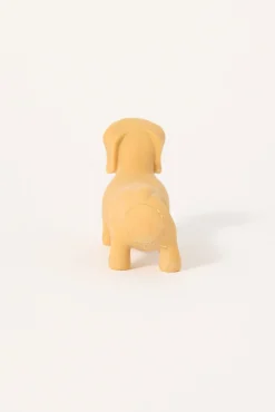 Stretchy Sausage Dog Assorted
