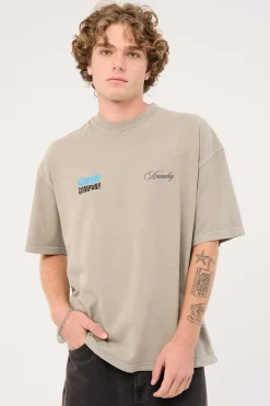 Total Anarchy Box Fit Oversize Short Tee Fog
