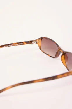Wonderful Electric Turtle/Brown Lens