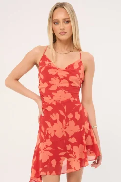 Zinna Mini Dress Red Print